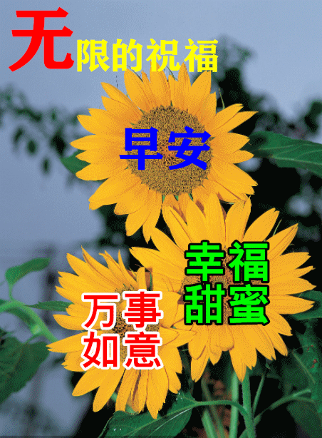 「2022.04.23」早安心语，世界读书日努力奋斗句子 早上好问候图片