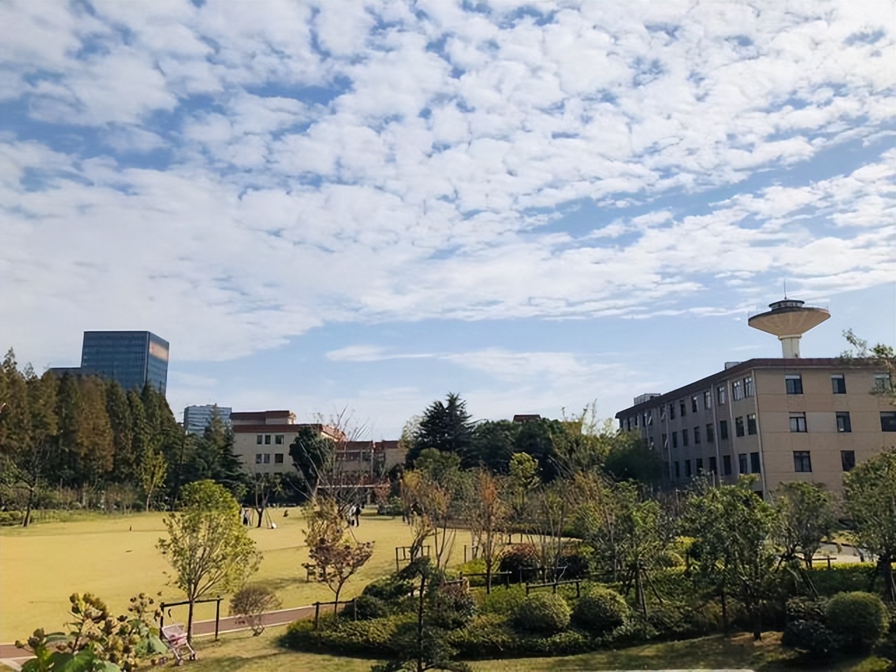 上海财经大学：只有一个“一流学科”，为何吸引那么多高分考生？