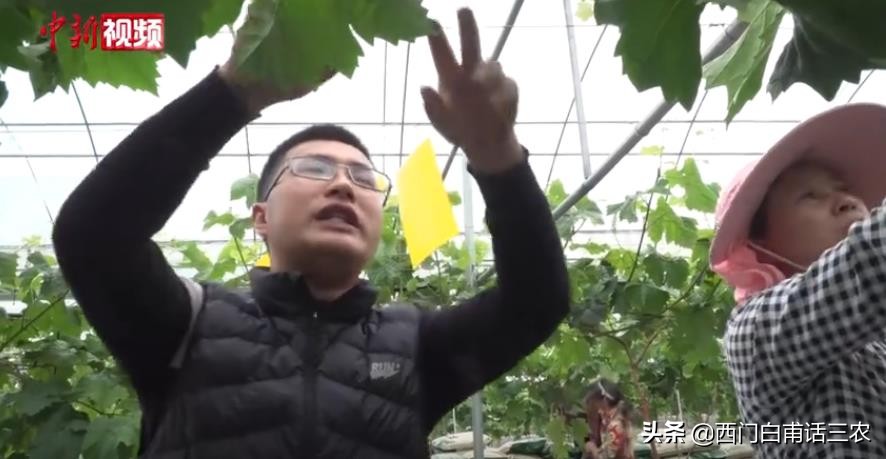 硕士回乡当农民经营两个家庭农场，年收入200万，传递什么信息？