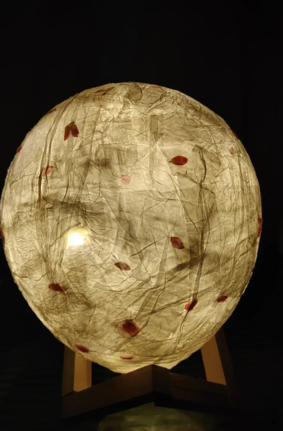 辽宁师范大学海华学院现代产业学院“寝室文化节”成果展示