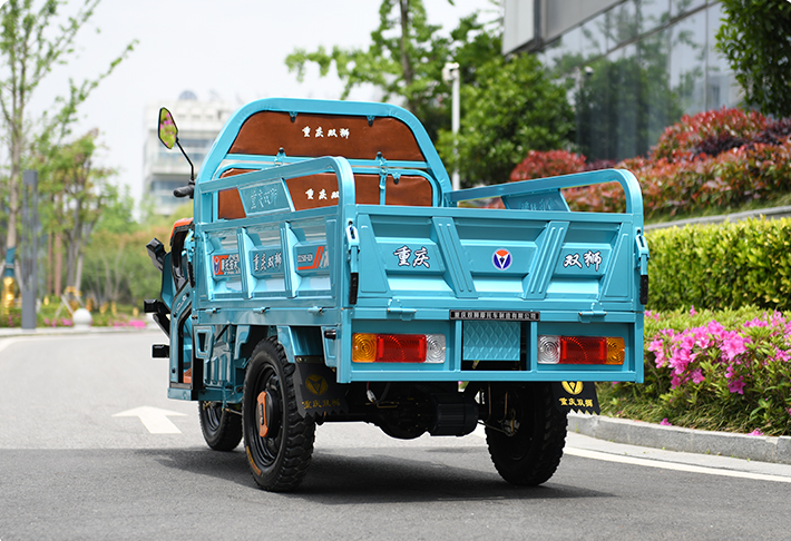 最低价格3000元,最高载重3000斤,这3款电动三轮车,全国能上牌