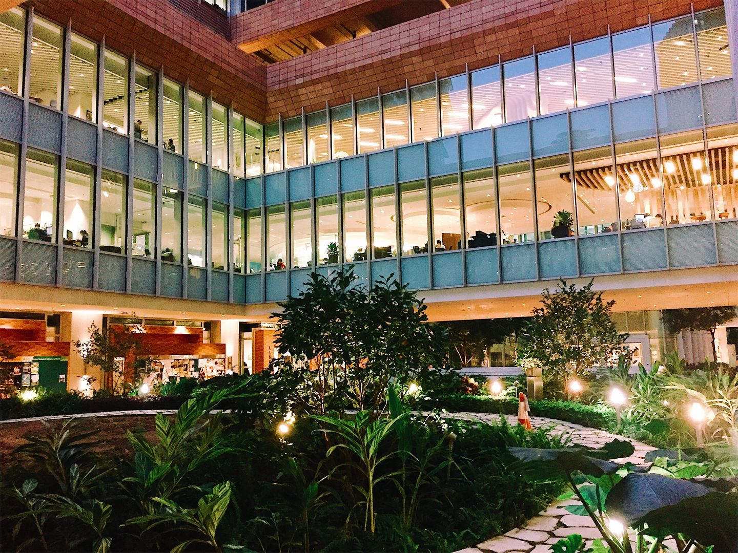 2023香港大学本科申请条件