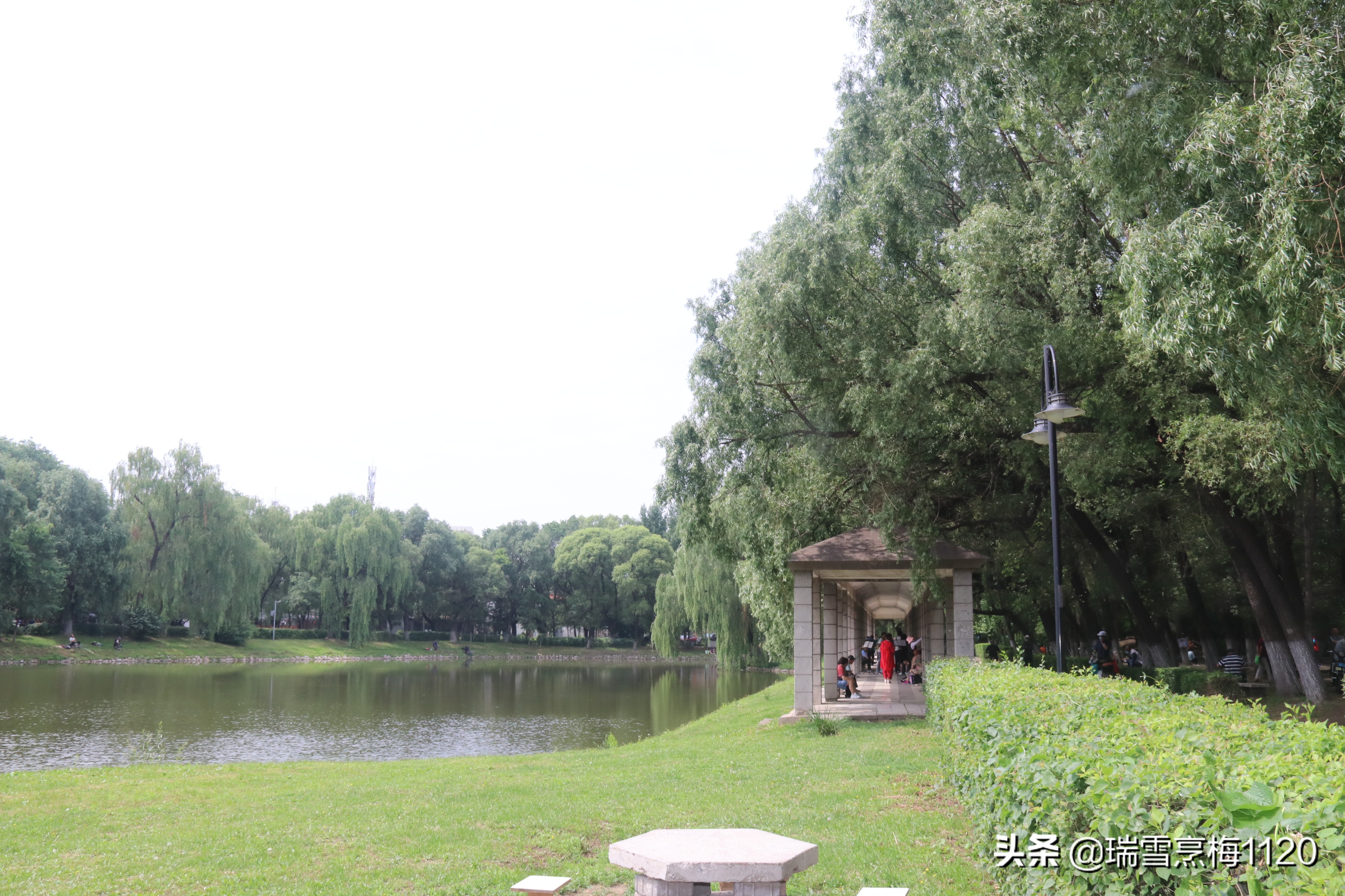 地名档案 | 沈北新区虎石台街道：宁王伏虎之地