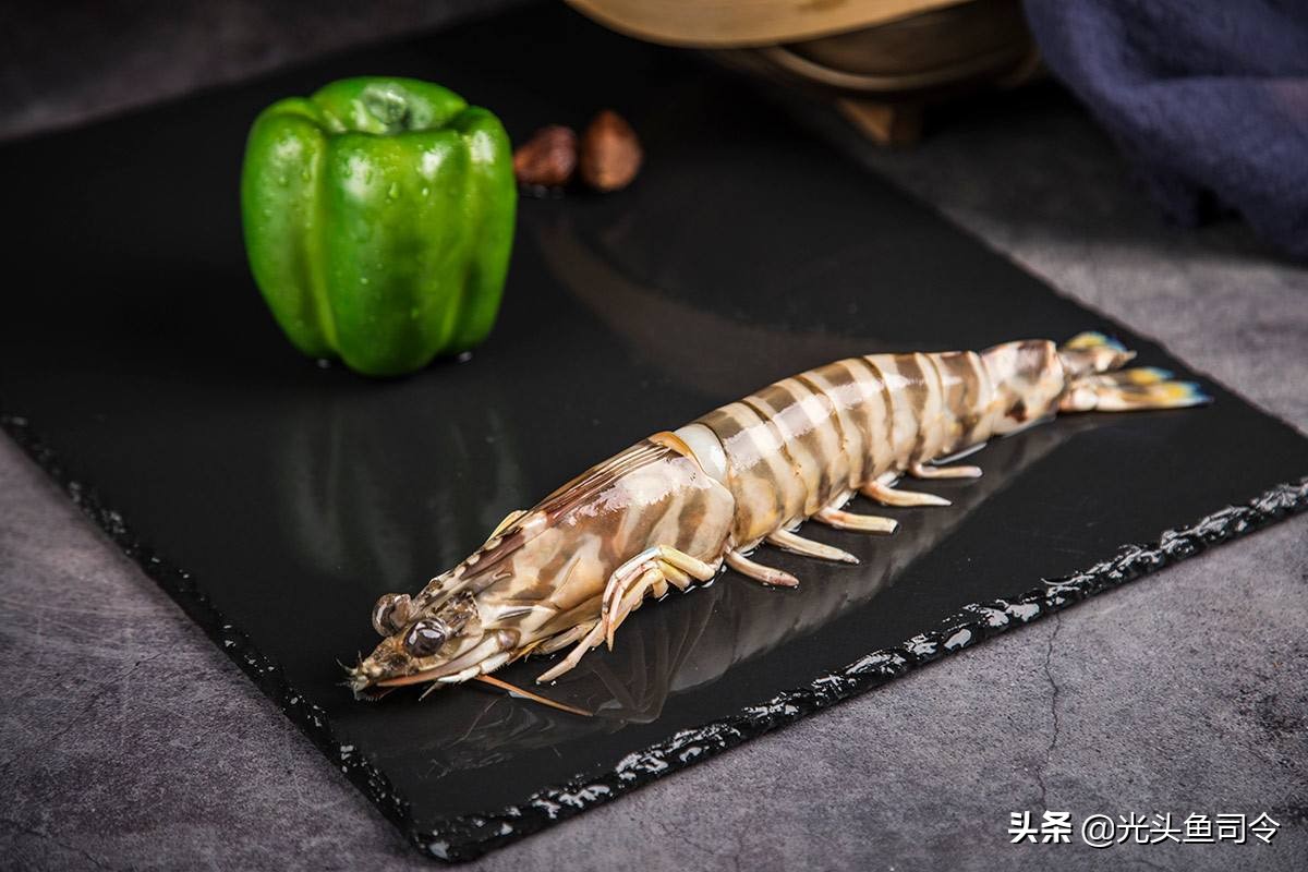“一只吃好，两只管饱”，我国的巨型黑虎虾，为何名不见经传？