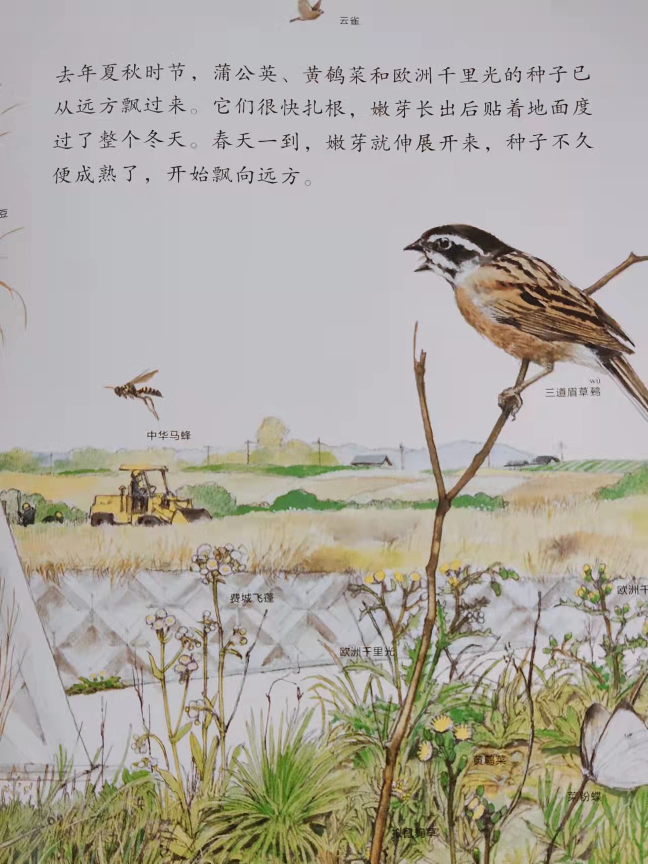 《路边的四季》带领我们发现自然之美，重温被我们忽略的生活细节