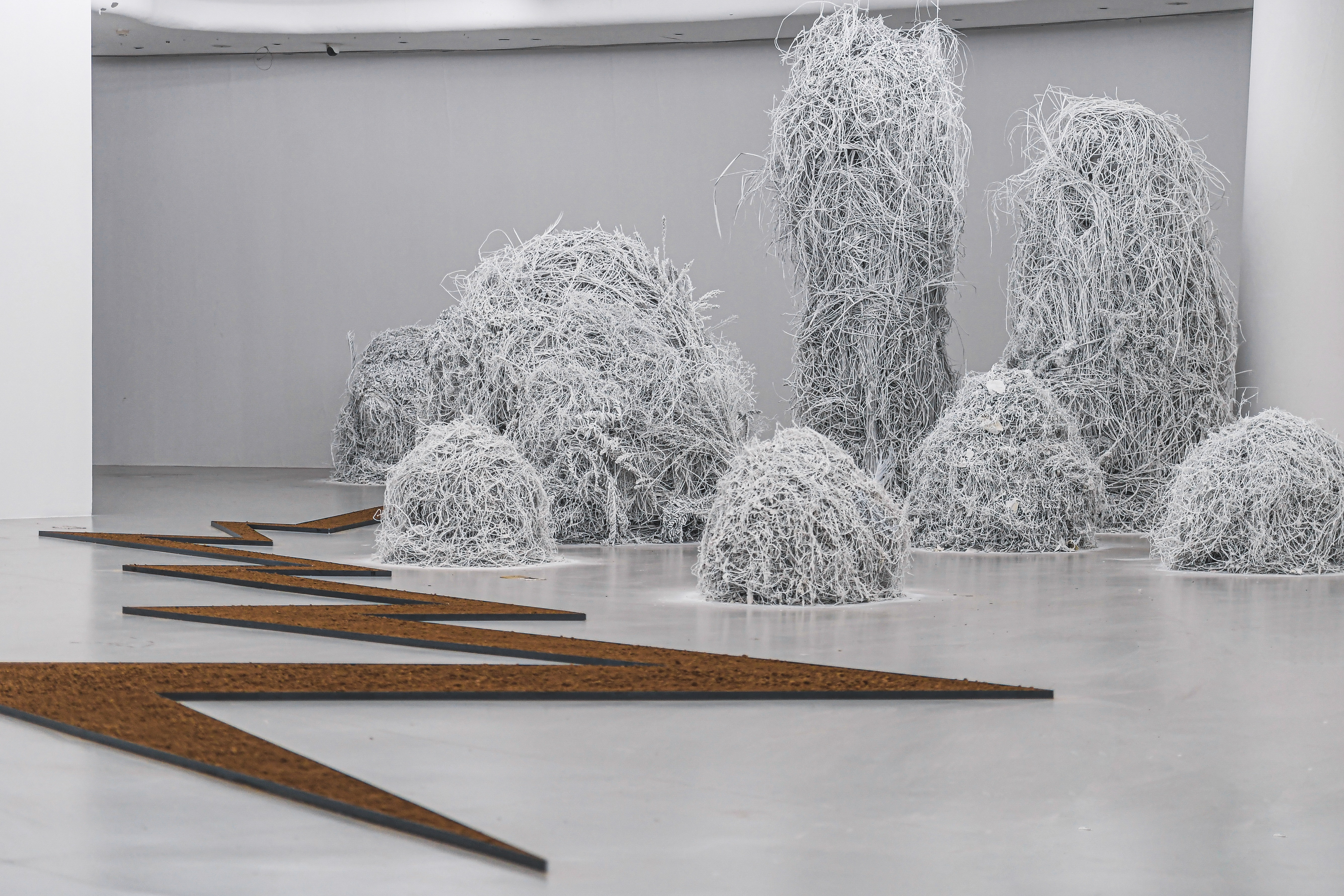 “休眠景观—童文敏、杨心广”展览正式在渝开幕