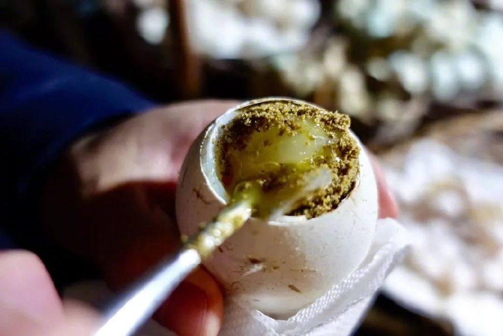 全国最好吃的15大夜市，没逛过就可惜了