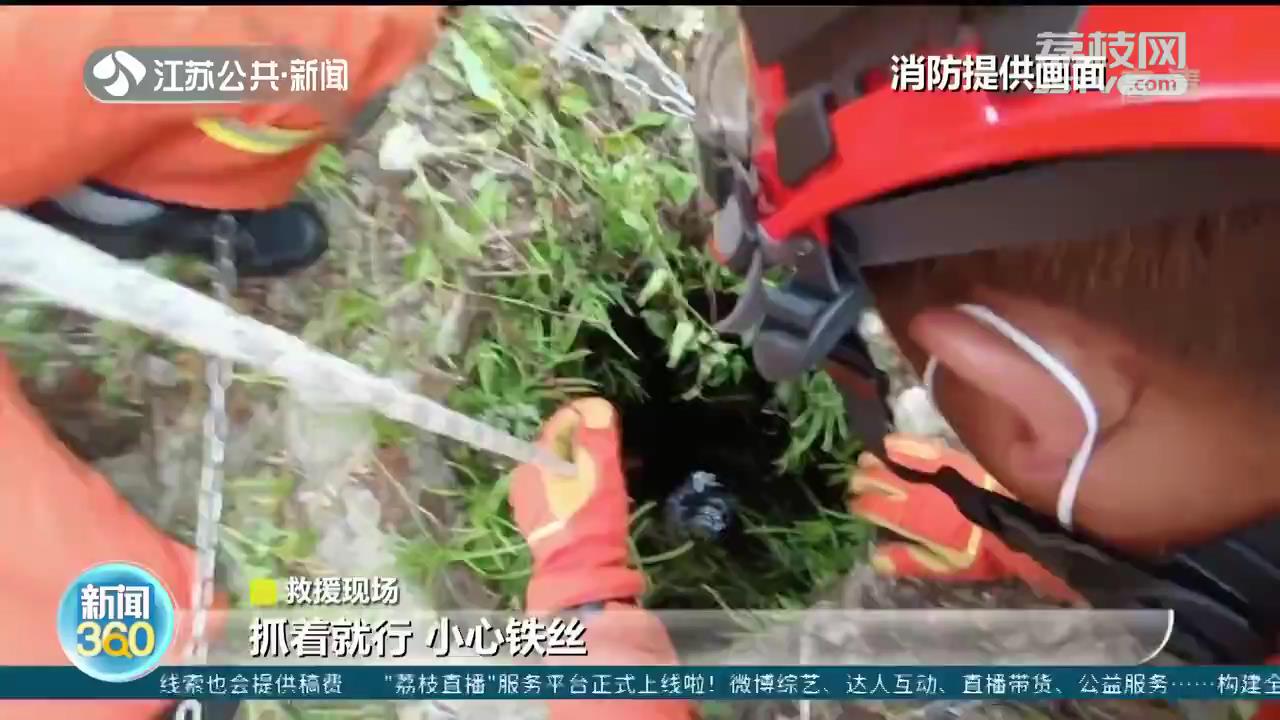 好样的！南京两名河道保洁员勇救落水女子