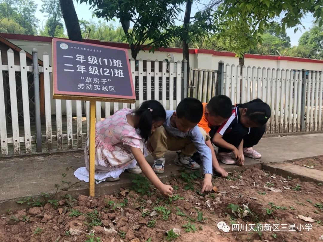 致敬最可爱的人——四川天府新区三星小学开展劳动实践周系列活动