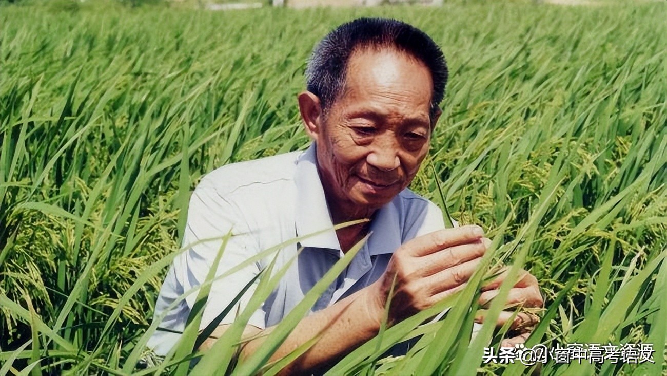 「备战高考」2022届江南十校一模：以“严谨与浪漫”为主题写作