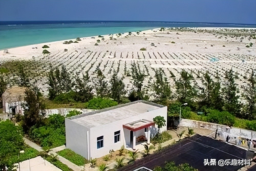 ����벻������ɳ�н����仯���֮�����ջ�̲�����ִ���ɫ�³�