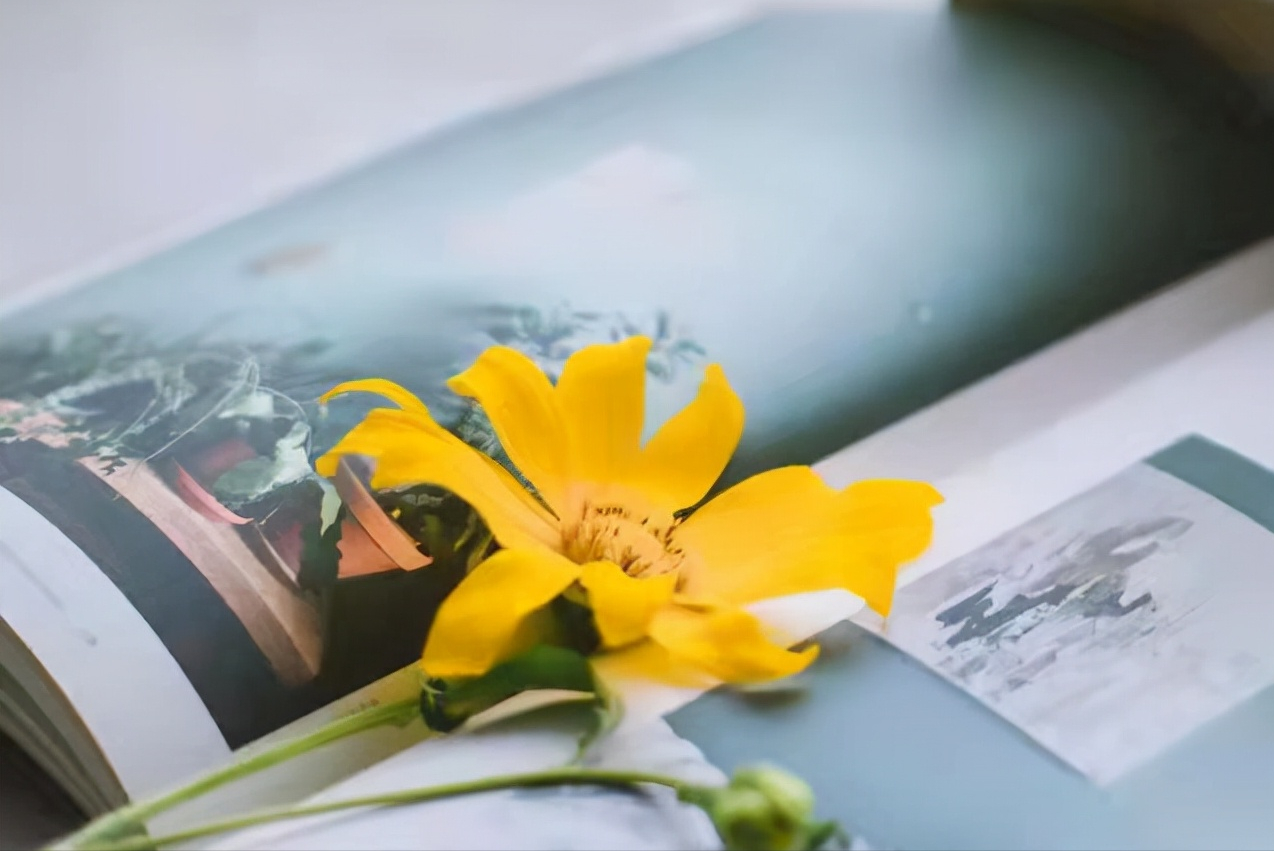 心理学家:自闭着的孤独