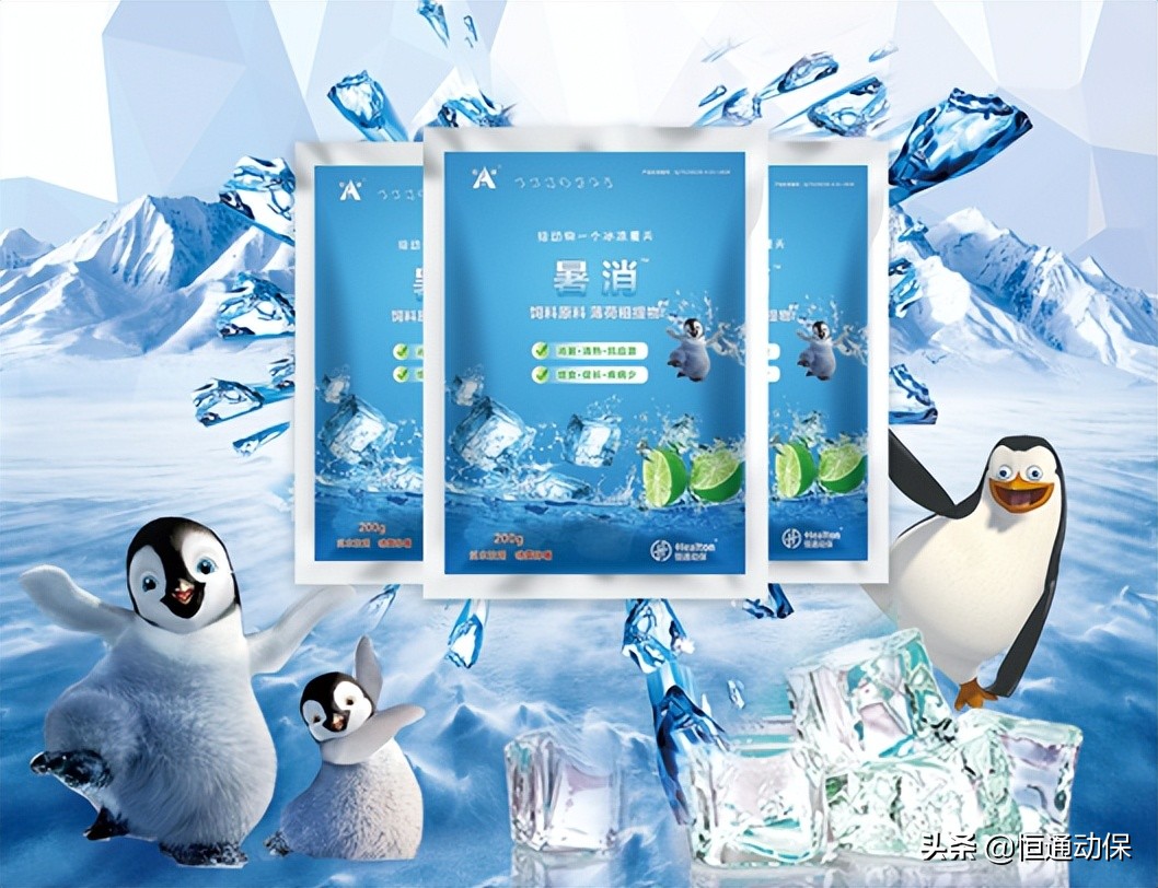 Ӧ�Ը�������������һ��Ҫ�����⼸��