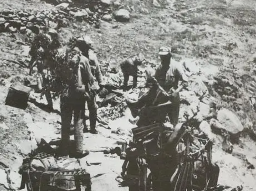 ��ԣ�������ģ�����Ĩ�ڹ������Ͻ����ֲ�����鸦���ǹ¾�ð��