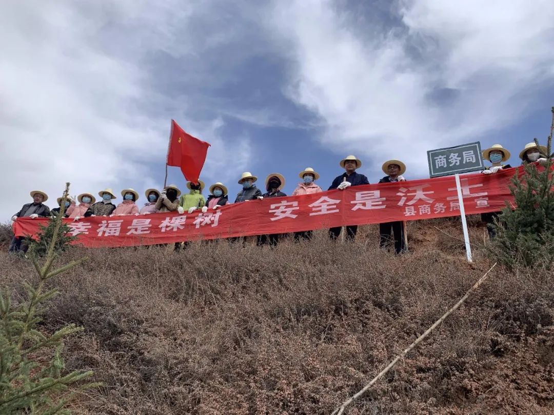 临潭县各乡镇各部门拉开春季义务植树序幕
