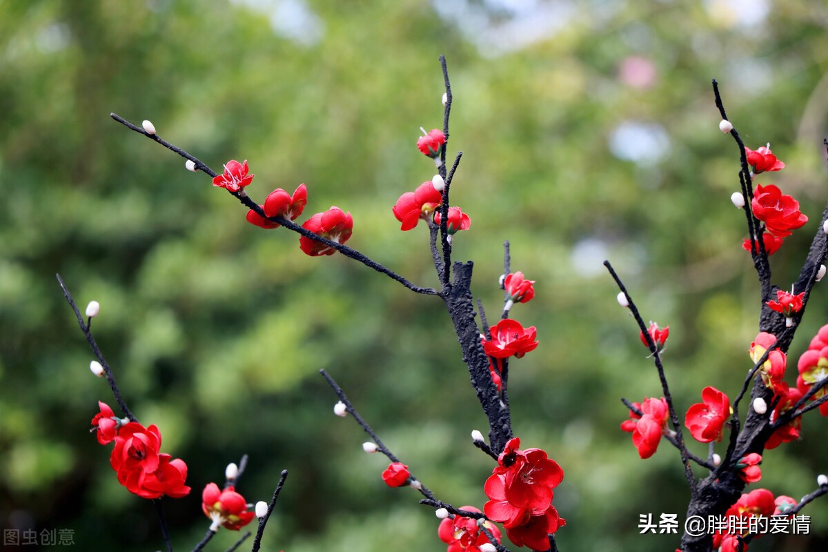 定定住天涯，依依向物华；寒梅最堪恨，常作去年花