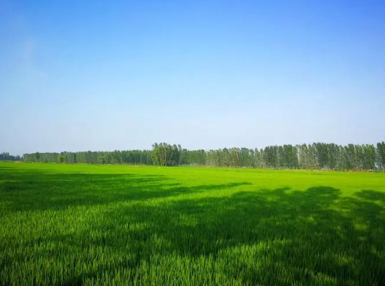 4大烟草公司，暂停对俄罗斯的业务，中国烟草：听我说谢谢你