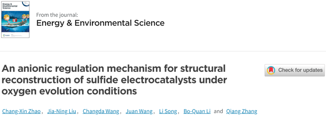 张强/李博权等团队最新Energy Environ. Sci.