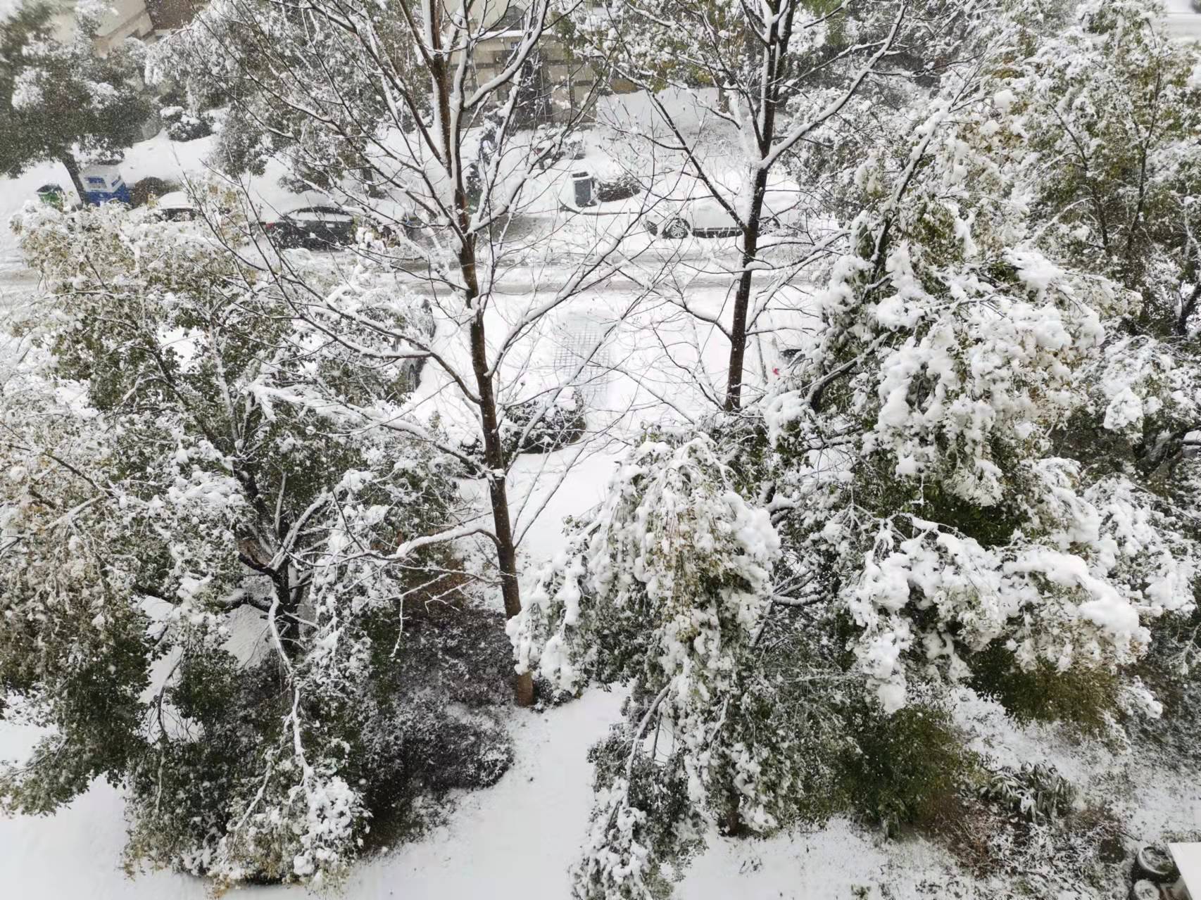 大雪纷纷，冒雪拍照，兴奋赋诗