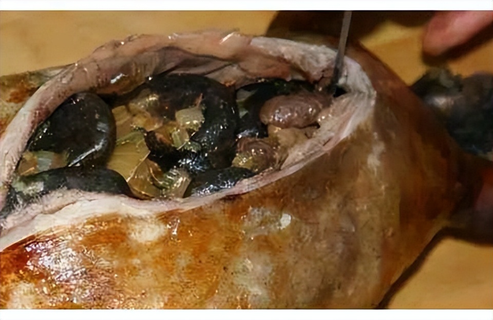腌海雀臭到呕吐，吃法让人难以接受，为何成为爱斯基摩人的美食？