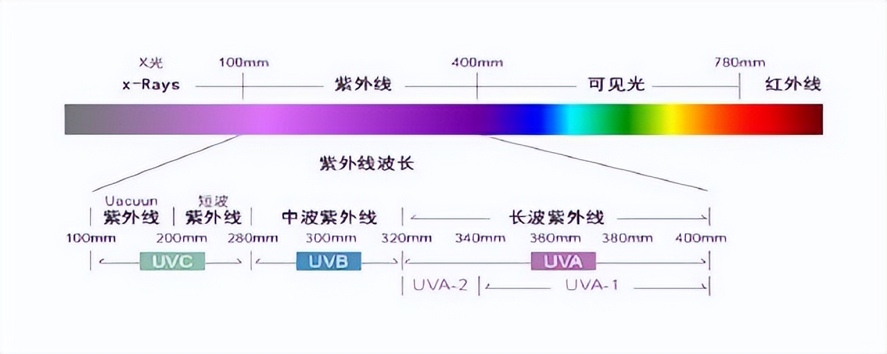 光知识讲堂 | 什么是LED？不同LED波段有什么不同？