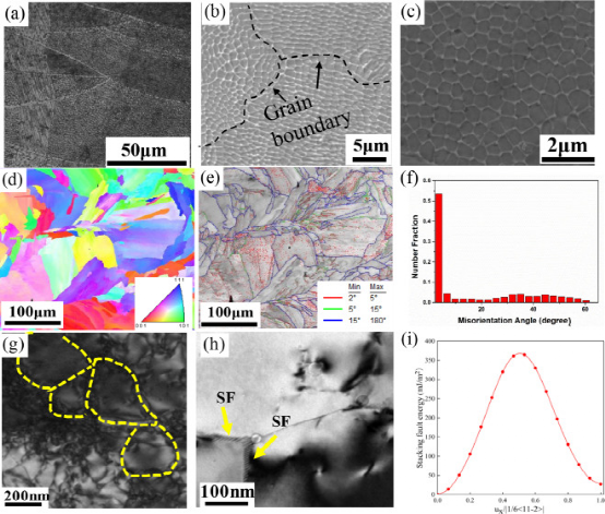 《JMST》：选区激光熔化多主元合金的动态微观结构演变及力学性能