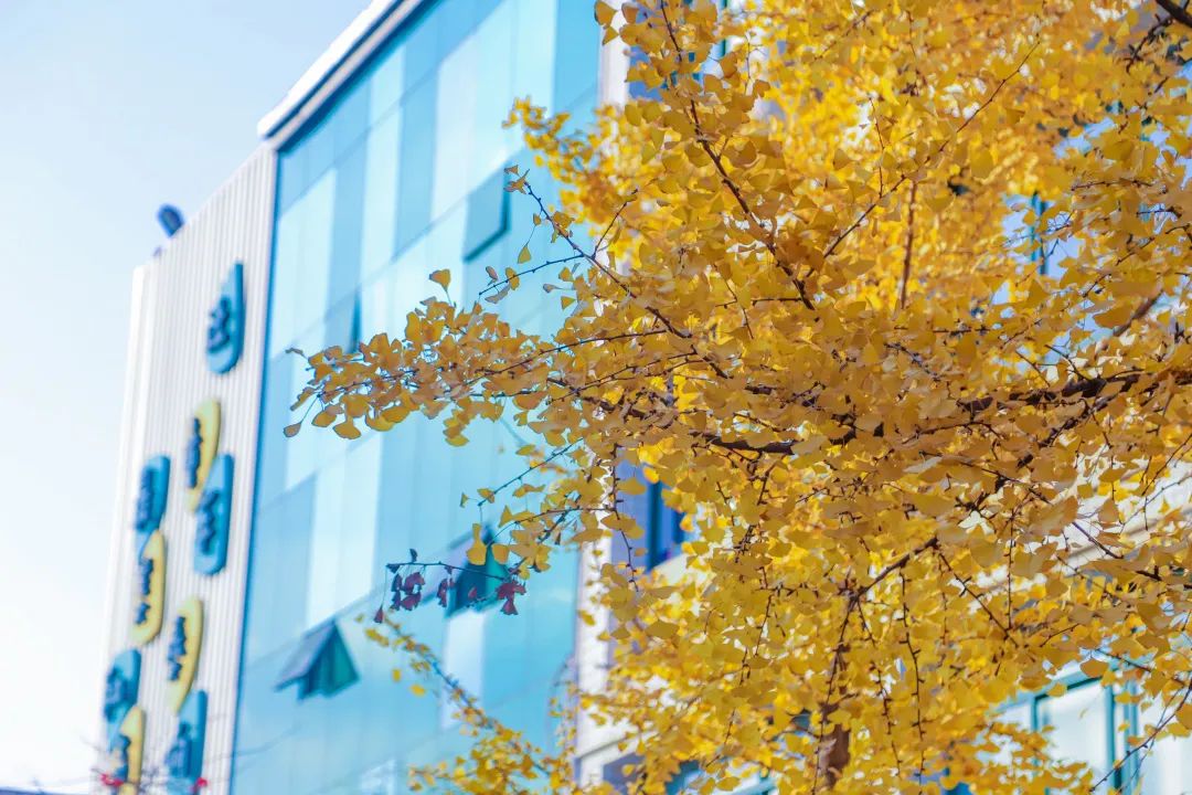 遇见南小，遇见美好｜今天，跟您聊聊南小那些事儿