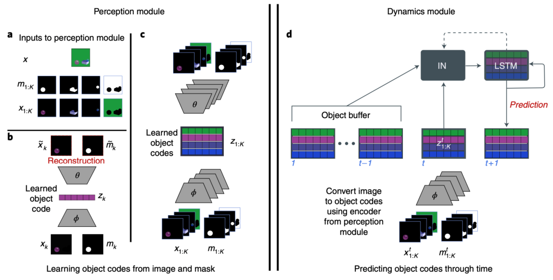 DeepMind最新研究：让 AI 像婴儿一样思考