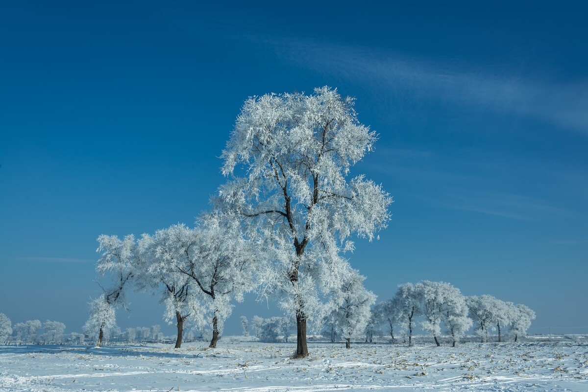 童话世界般的雪乡真的是太美了，一定要打卡国内最美8大雪乡插图33