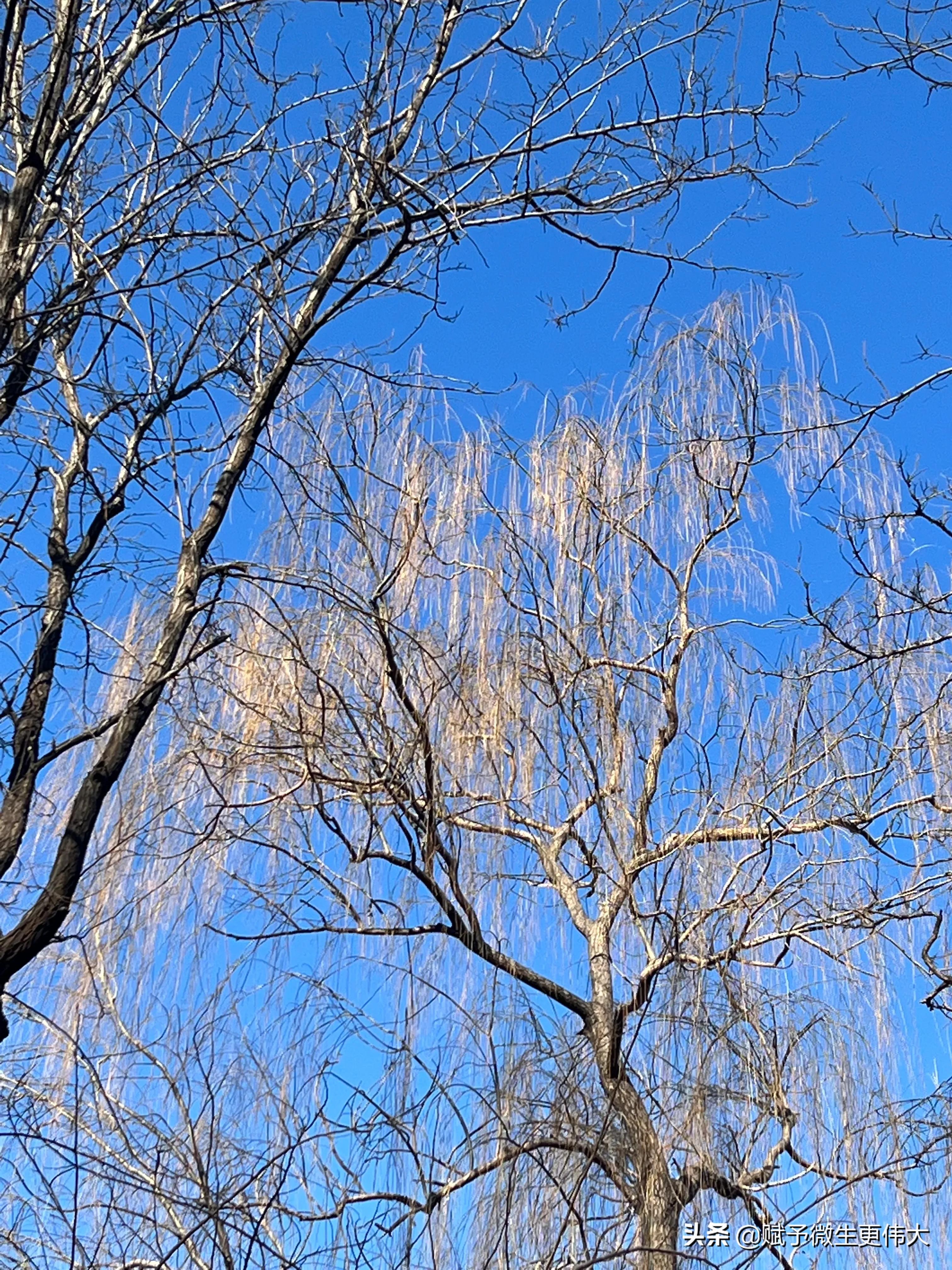 美美的——明德化境境更境