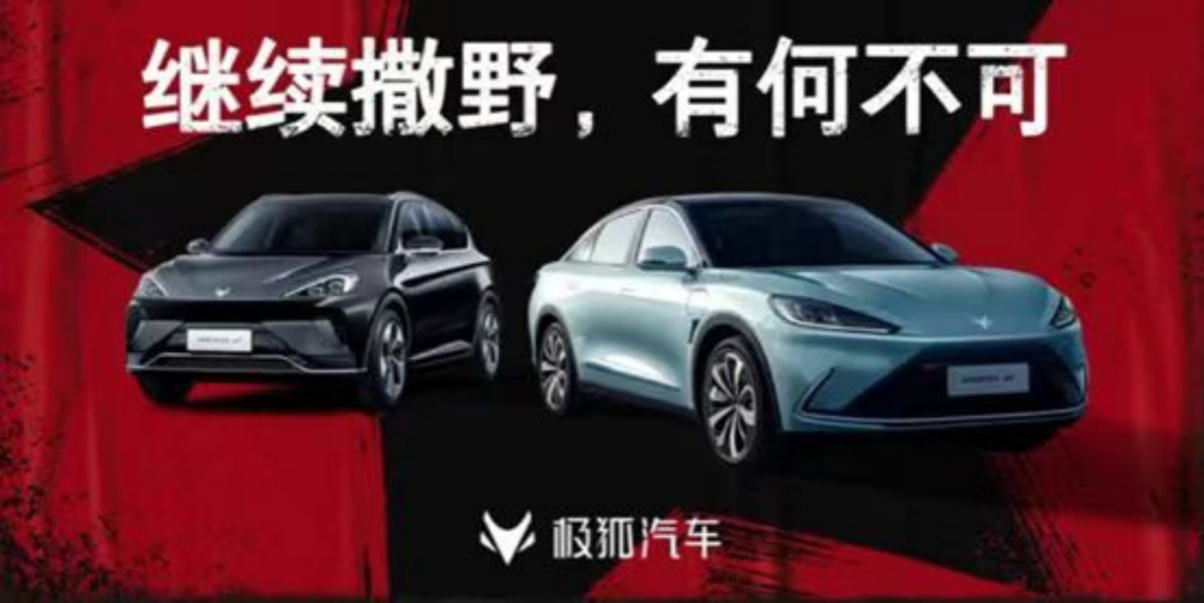 “千万量级赞助崔健演唱会，我们觉得很值！”|对话极狐汽车