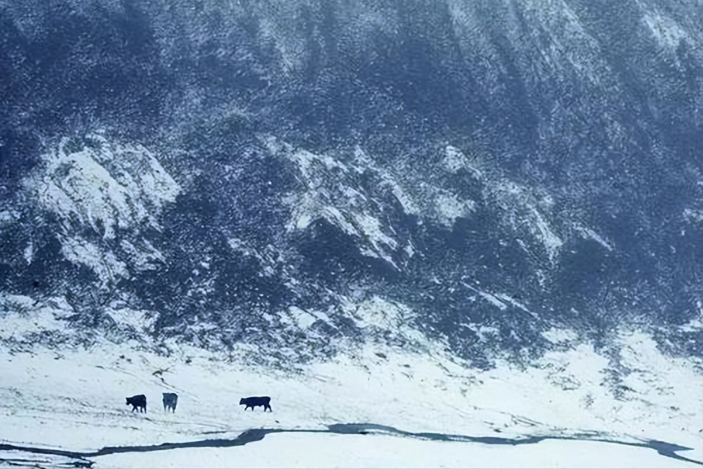 毕淑敏：旅行是一味药，可以治愈生活的苦