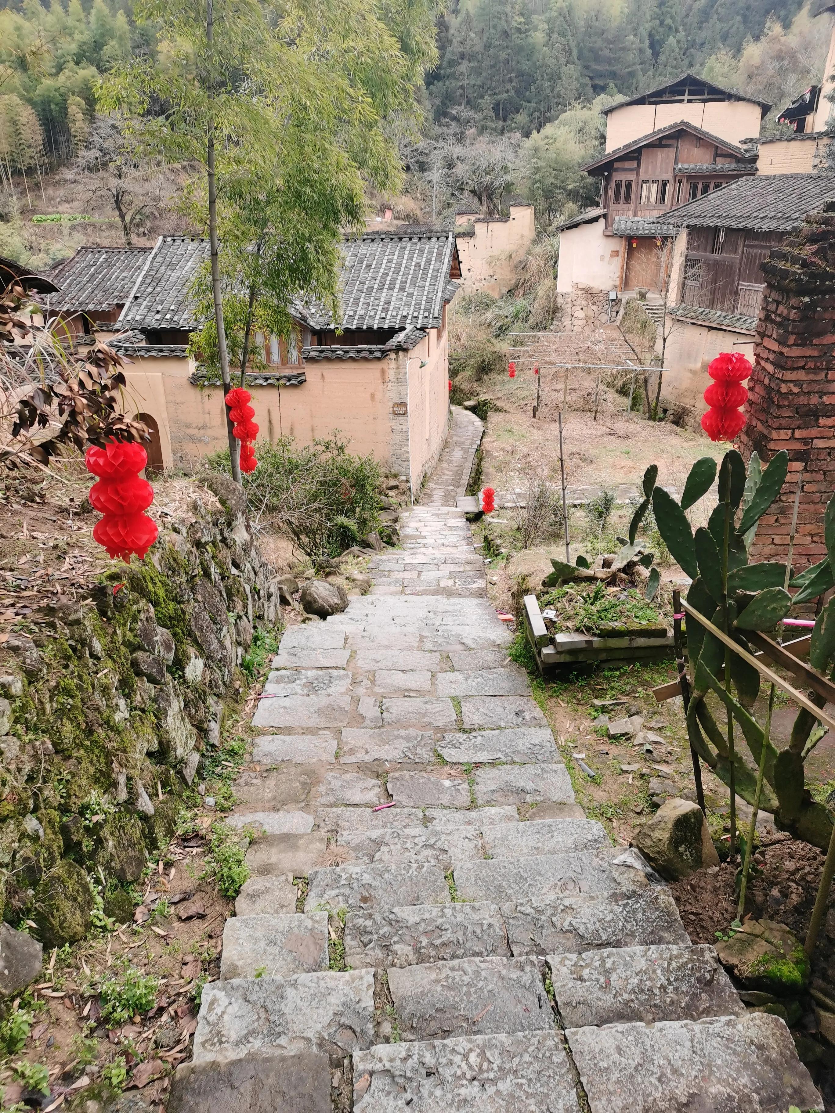 有这么一个修养圣地！竟然隐藏在福建屏南的小山村里