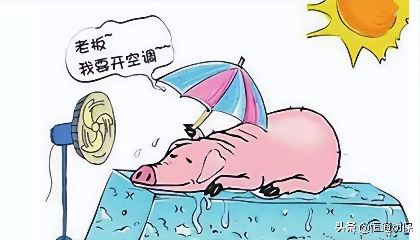 �������ף���������µİ˴��ʩ�����Ҫ֪��