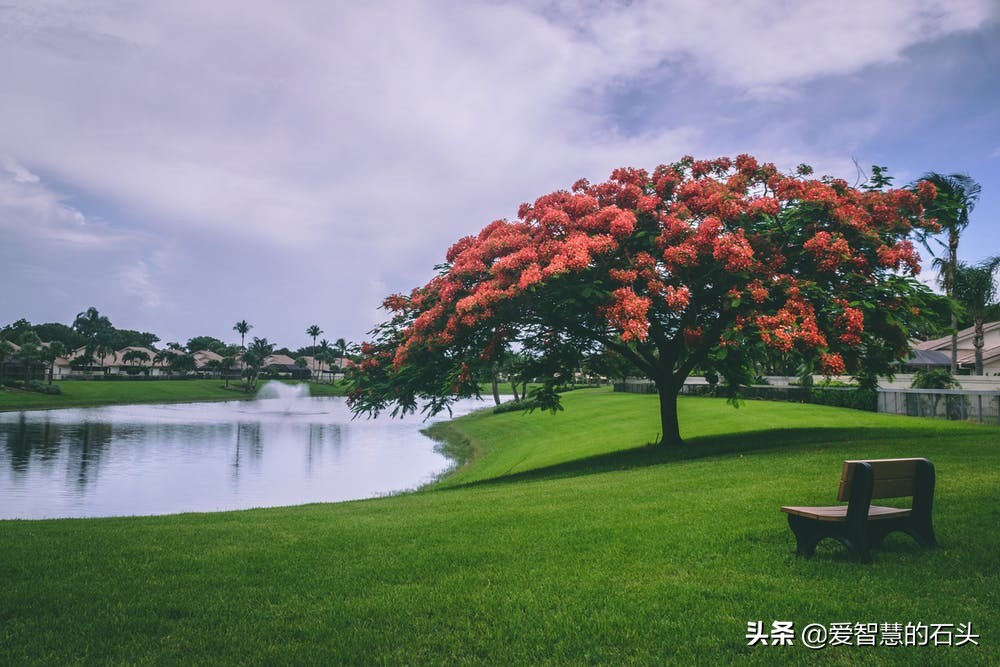 要做痛苦的人，還是快樂的豬？ 其實，還有第三條路