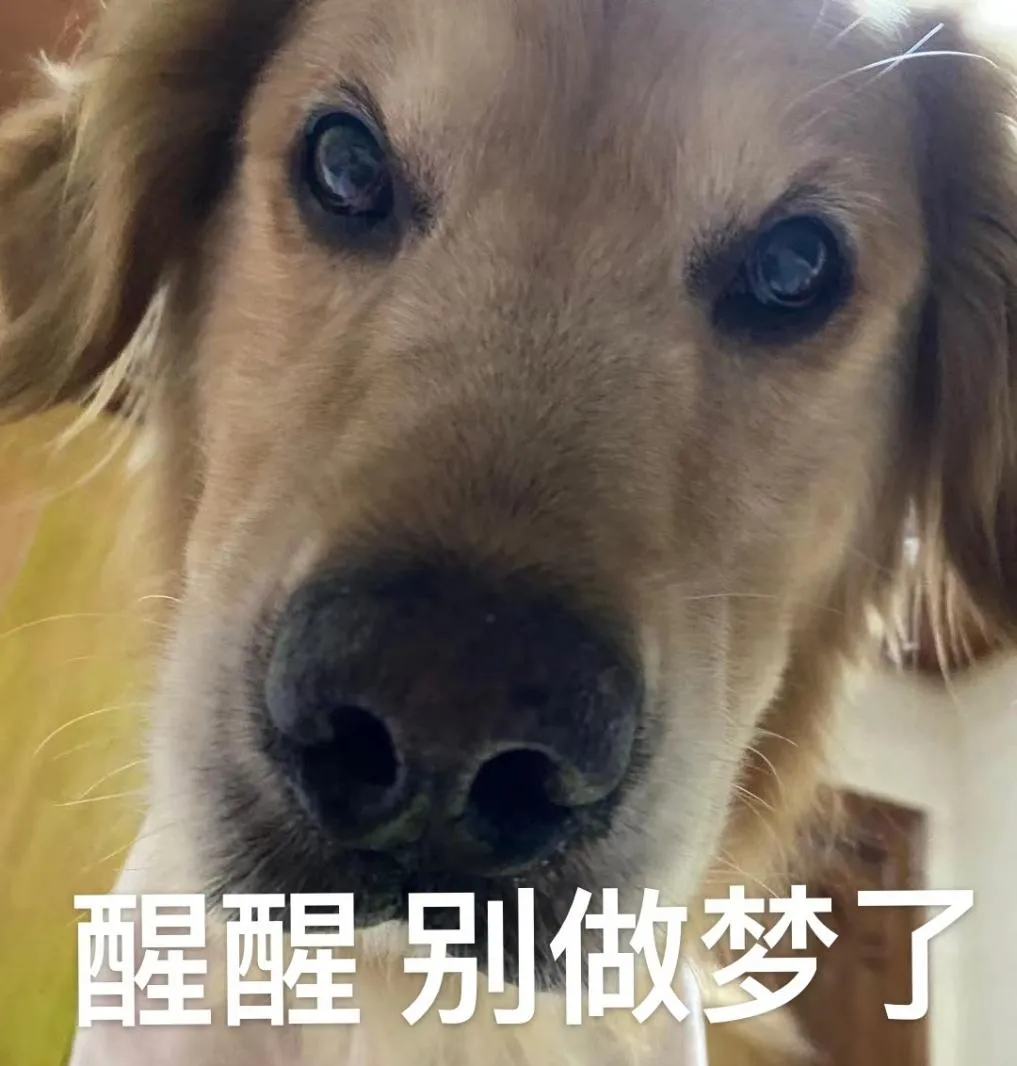 2124元/月!如果你在深圳失业了,记得去领这笔钱