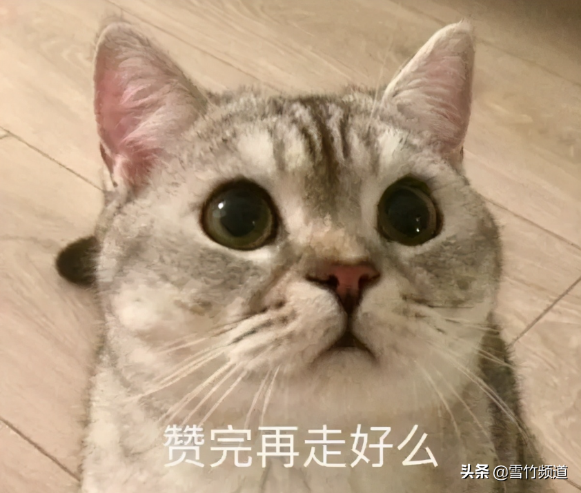 Linux不重启识别新挂载磁盘