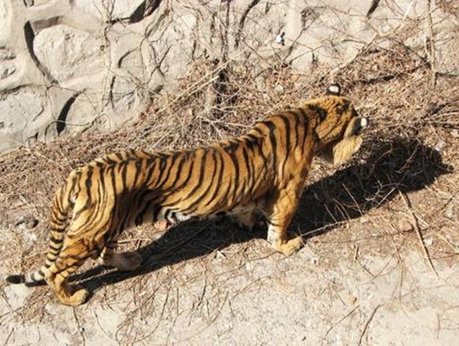 傅衍鲲：退休教师化身缉毒卧底，混进毒窝十年，被出卖后结局如何