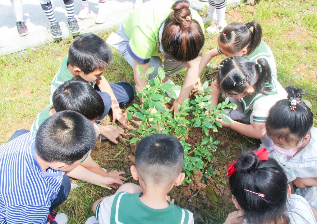 成都市双流区黄甲小学携手黄甲幼儿园开展手拉手幼小衔接活动