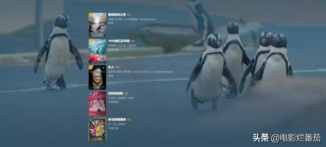 2021高分纪录片TOP5：小到月经初潮，大到世界觉醒，每部都值得看