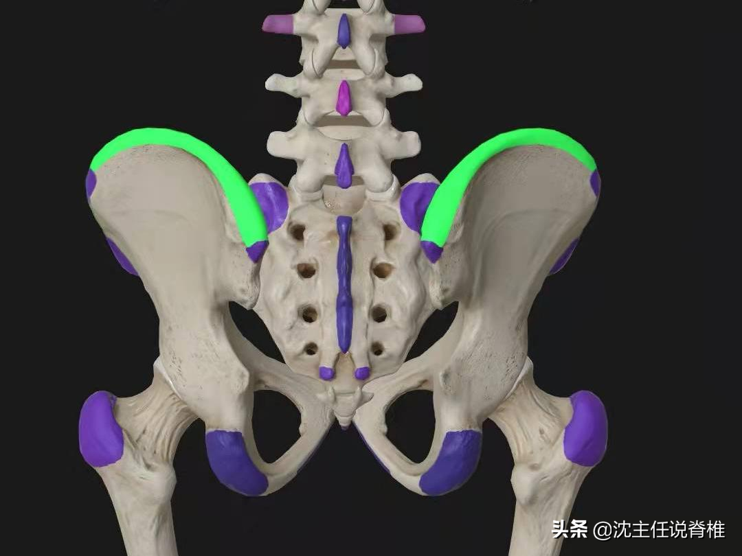 腰臀或下肢痛，是腰肌劳损、腰突症吗？不一定，还有这些原因