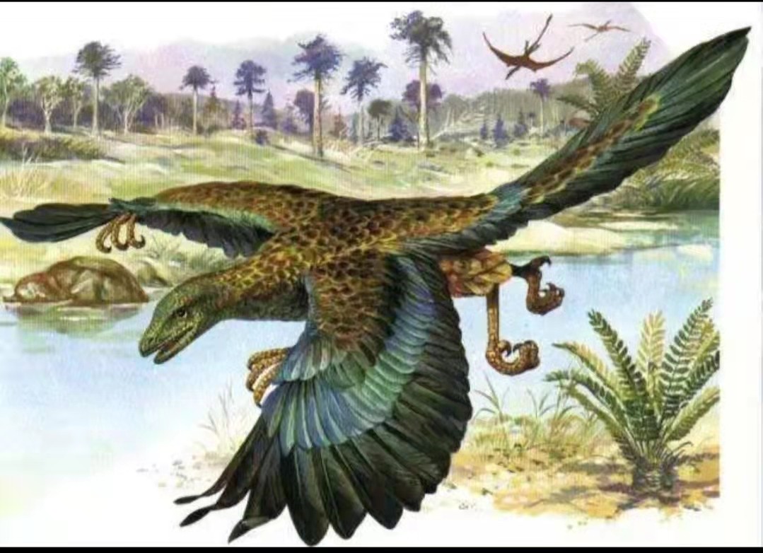 恐龙竟然和鸟类是近亲！在恐龙还未灭绝前，和鸟一样会患病吗？