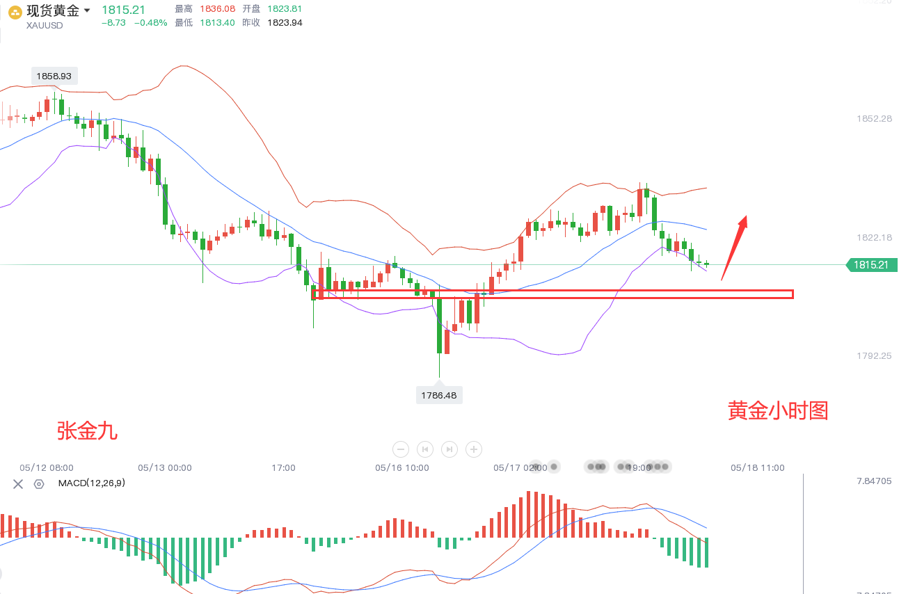 张金九5/18黄金走高回落，多头是结束还是蓄力？今日策略
