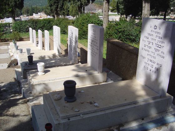 老电影剧情片霹雳行动「解说」 _晶羽科技