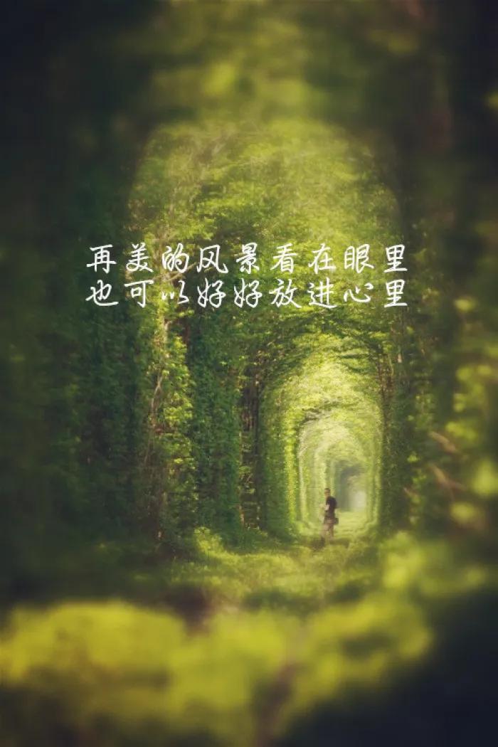 回忆过去感悟语录