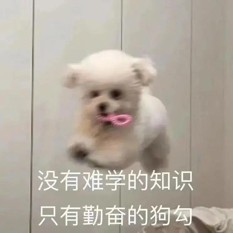 有什么非常沙雕的朋友圈文案