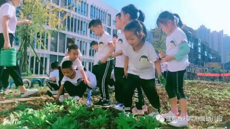 「盘点」在成都多达17所“教科院”系学校，到底香不香？