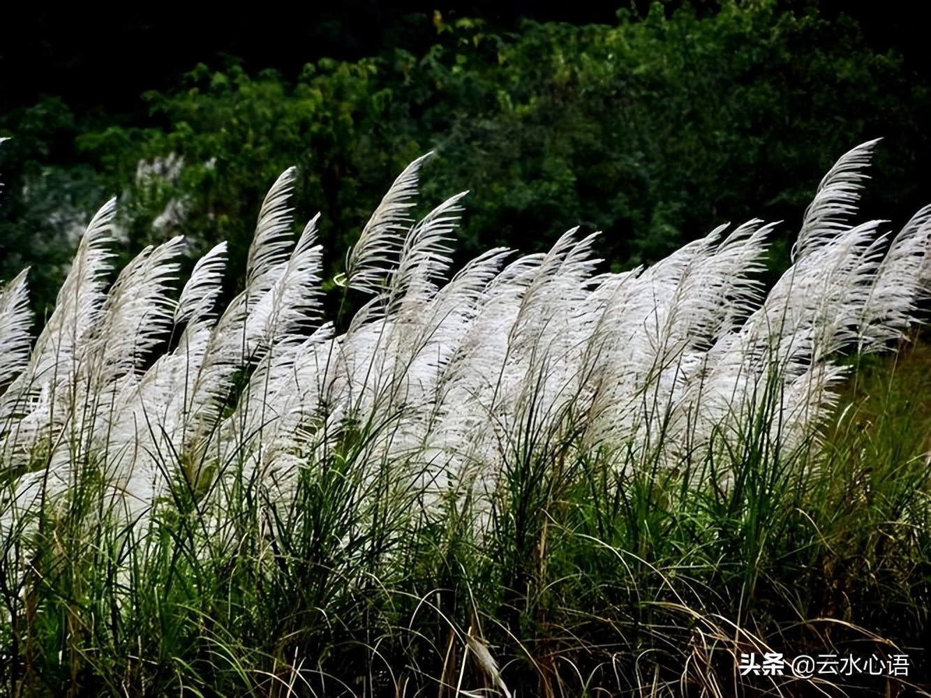 许浑戏赠诗友，题写了一首七律，惬意悠然，令人如临其境