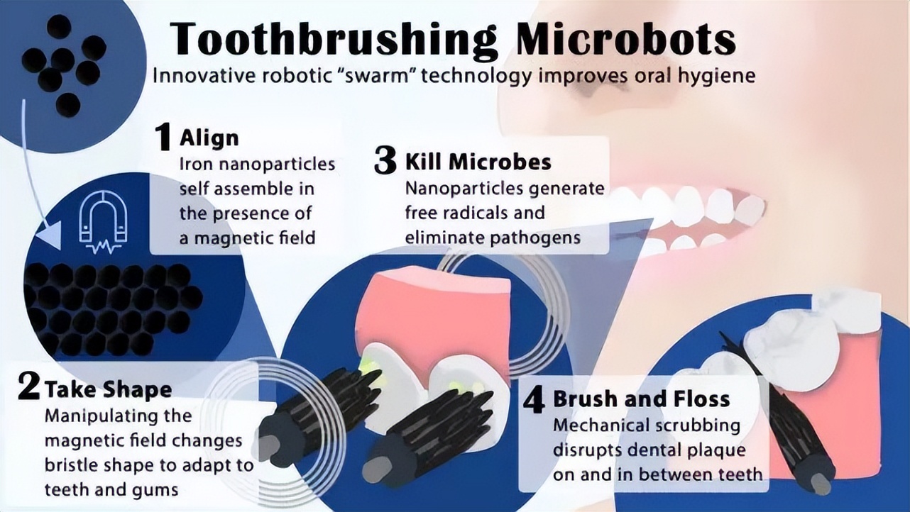 科企岛：小型机器人变形器将为您刷牙和使用牙线