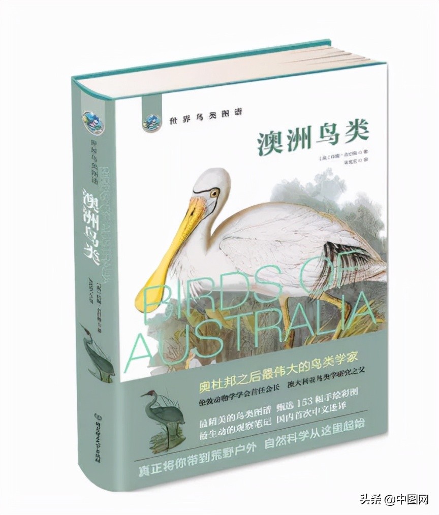 怎么办呀，书架上的书都塞不下了